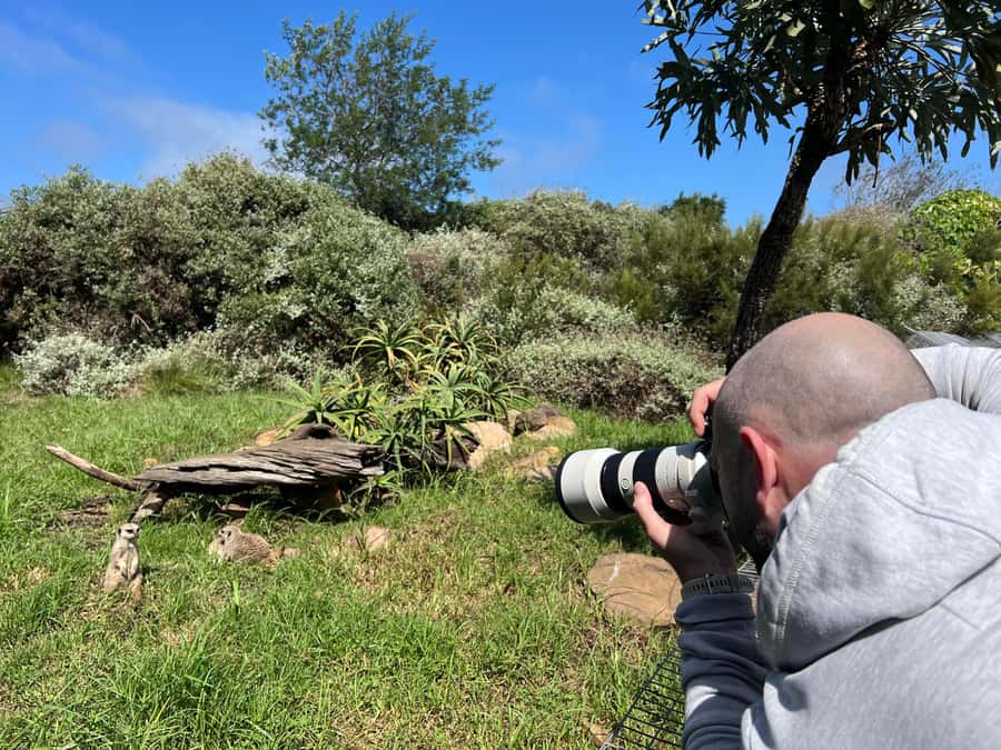 Plettenberg Bay: Private Guided Wildlife Photography Tour - Key highlights worth your attention