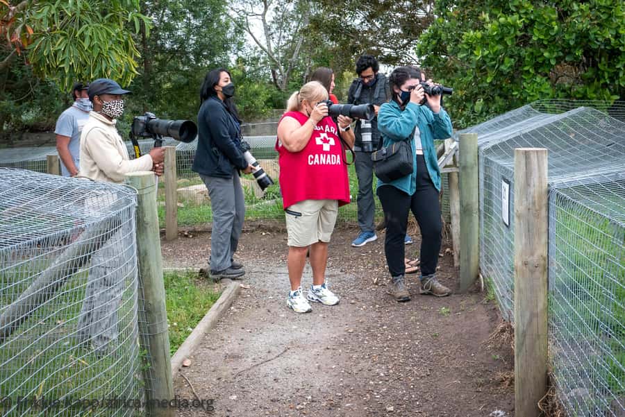 Plettenberg Bay: Private Guided Wildlife Photography Tour - Tenikwa in Plettenberg Bay: a wildlife center built for learning and real conservation