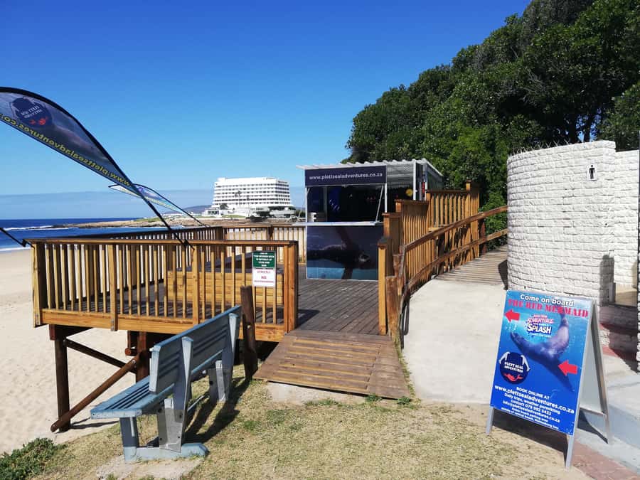Plettenberg Bay: Seal Swimming Experience - Key Things You’ll Notice Right Away