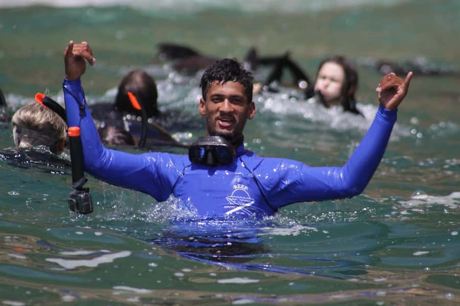 Plettenberg Bay: Seal Swimming Experience - A 90-Minute Seal Swim Start at Hobie Beach