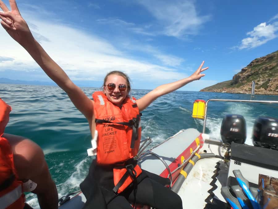 Plettenberg Bay: Seal Swimming Experience - Who This Plettenberg Bay Seal Experience Is For