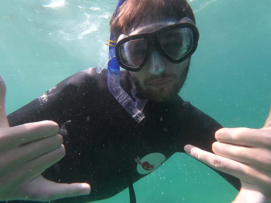 Plettenberg Bay: Seal Swimming Experience - FAQ