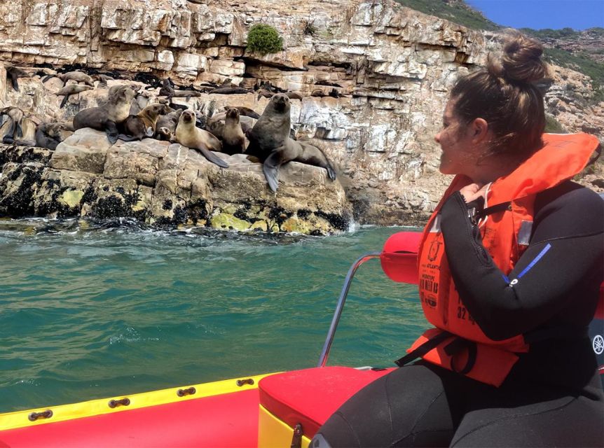 Plettenberg Bay: Seal Viewing Boat Trip - First Stop: Beacon Island Hotel and the Beach Launch Moment