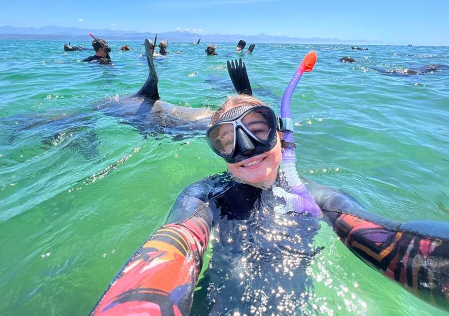 Plettenberg Bay: Seal Viewing Boat Trip - Seals Up Close: Cape Fur Seals, Pups, and Real Wildlife Behavior
