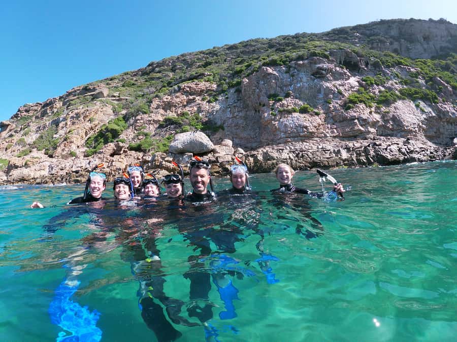 Plettenberg Bay: Swim with Seals - Arriving at the Seals: Robberg Marine Protected Area and How You Find Them