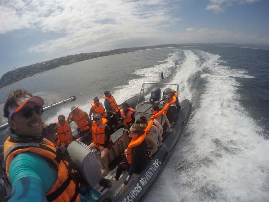 Plettenberg Bay: Swim with Seals - The Water Moment: A 30-Minute Snorkel Swim With Seals