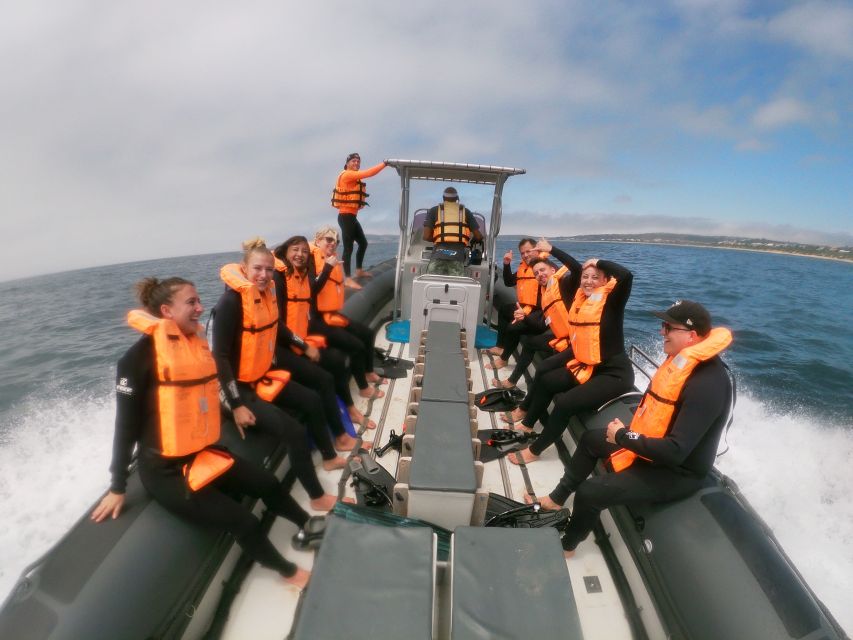 Plettenberg Bay: Swim with Seals - How the Guides Keep It Ethical: Clear Rules and Calm Control