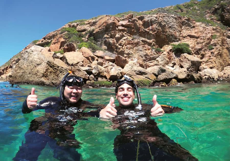 Plettenberg Bay: Swim with the Seals - Price and value: $61 for 90 minutes that actually hits the highlight