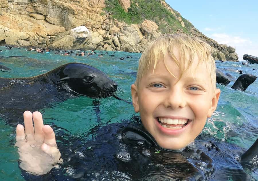 Plettenberg Bay: Swim with the Seals - Beacon Island meet-up and the calm before the splash