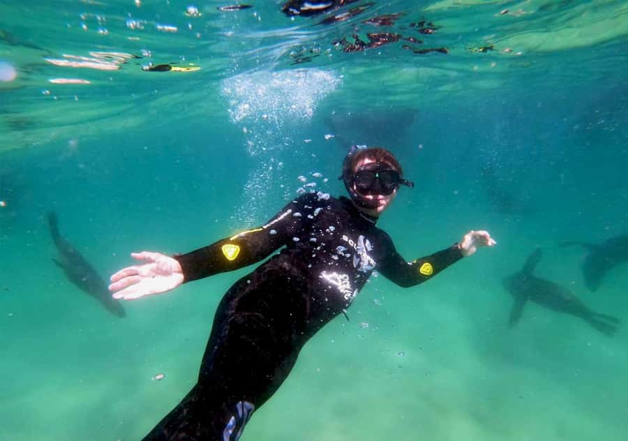 Plettenberg Bay: Swim with the Seals - If you prefer not to get wet, choose the viewing option