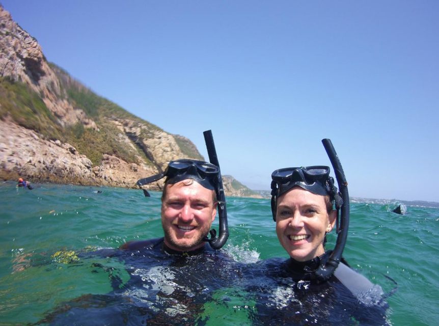 Plettenberg Bay: Swim with the Seals - What you learn in the moment, and why guides matter