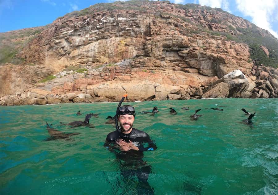 Plettenberg Bay: Swim with the Seals - Safety, rabies updates, and what the operator says they’ve added