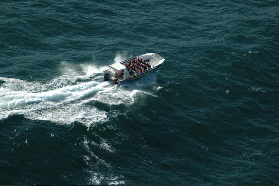 Plettenberg Bay: Whale Watching Boat Cruise - The Beach Launch on a 400 Horsepower Cat-Style Speedboat