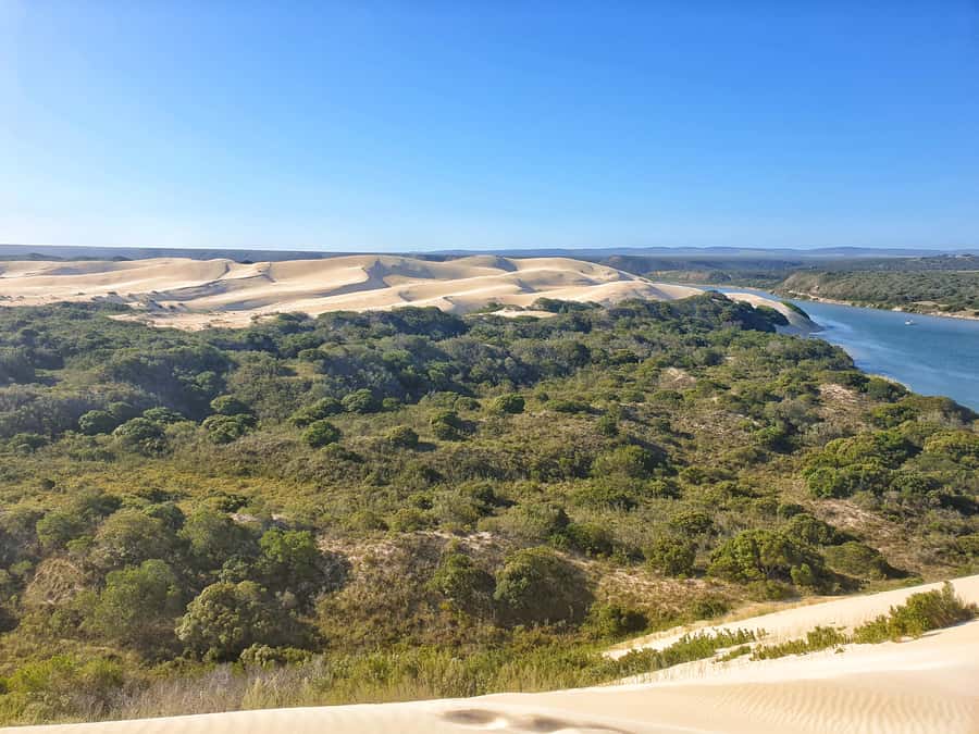 Port Elizabeth: 2-Day Addo Elephant Park Safari - Key things I think are worth your attention