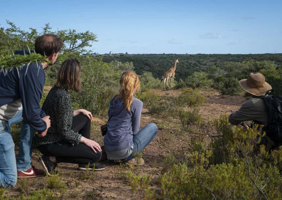 Port Elizabeth: 2-Day Addo Elephant Park Safari - Sundays River cruise and dune tour: a different side of the Eastern Cape