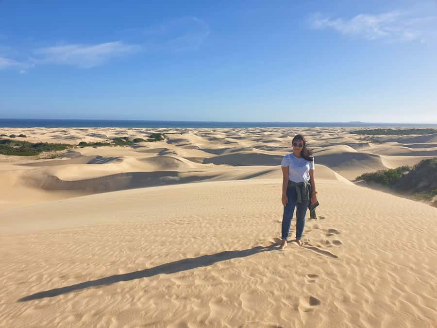 Port Elizabeth: 2-Day Addo Elephant Park Safari - Big Five, Big 7, and the realism of sightings in heat