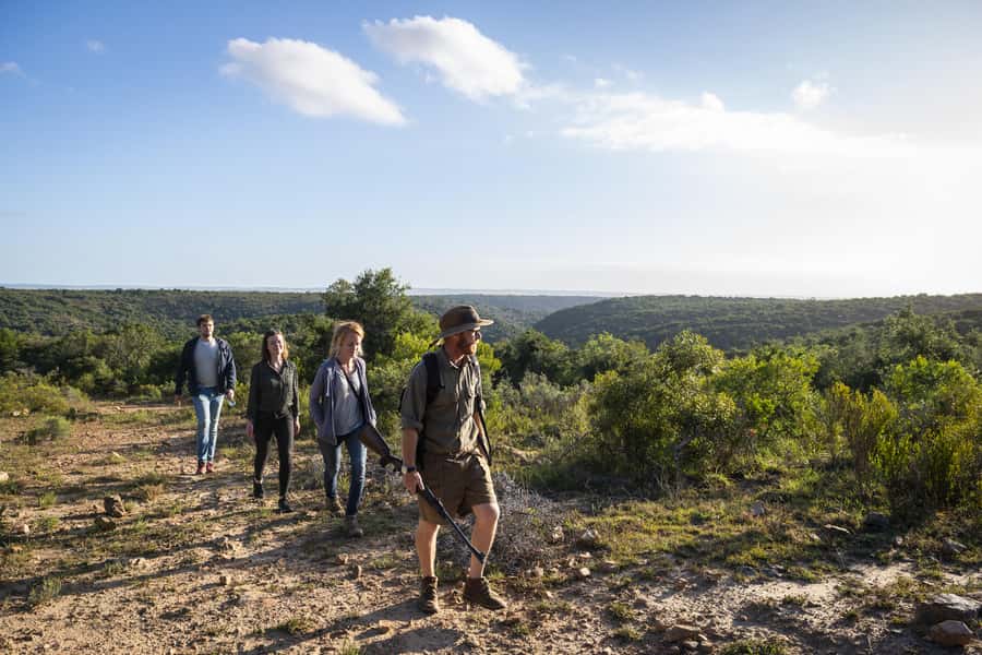 Port Elizabeth: 2-Day Addo Elephant Park Safari - Guide quality makes or breaks a safari day