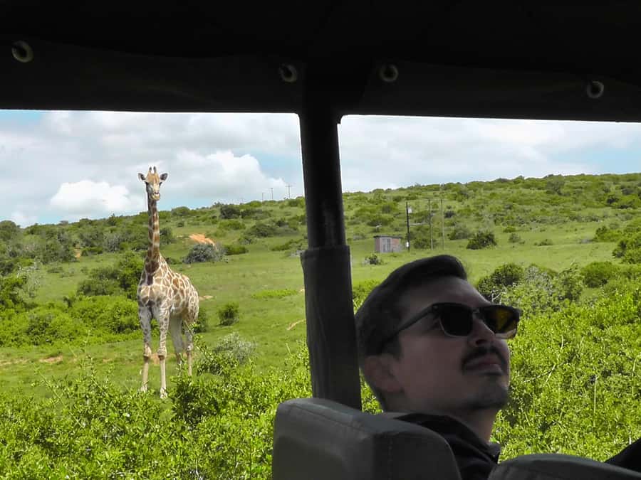 Port Elizabeth:2-Day Schotia Safaris & Addo Wildlife Reserve - Key points worth knowing before you go
