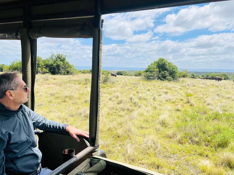 Port Elizabeth: 3-Day Addo Elephant National Park Safari - Key highlights at a glance