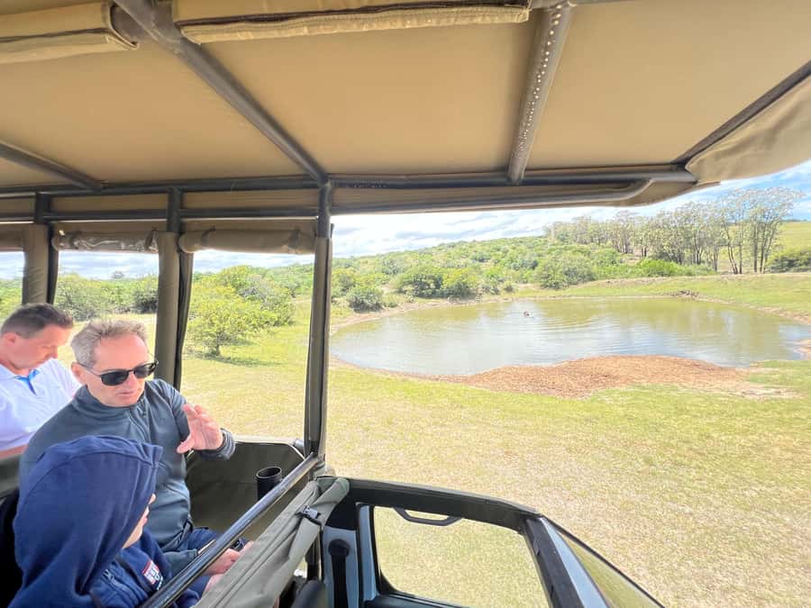 Port Elizabeth: 3-Day Addo Elephant National Park Safari - Should you book this 3-day Port Elizabeth Addo safari?