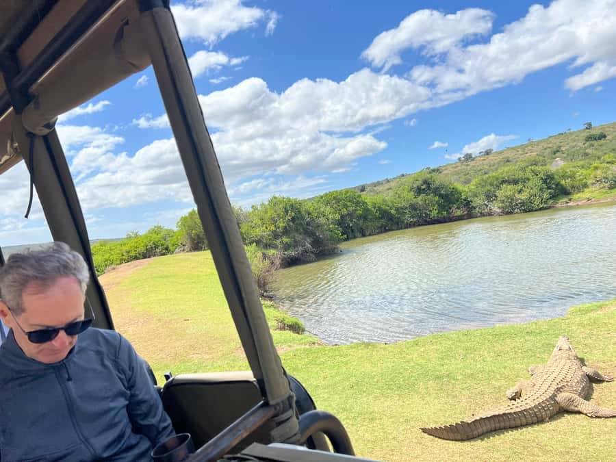 Port Elizabeth: 3-Day Addo Elephant National Park Safari - Inside Addo Elephant National Park: the elephant focus and predator possibility