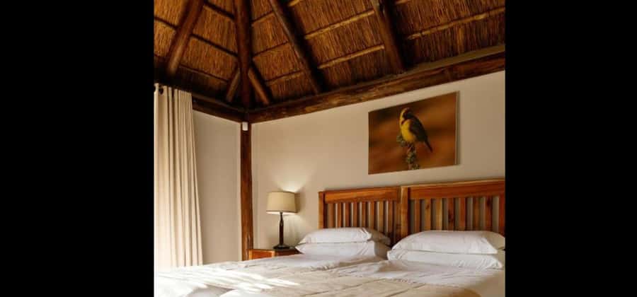 Port Elizabeth: 3-Day Addo Elephant National Park Safari - Small-group guidance: what changes when the group is capped