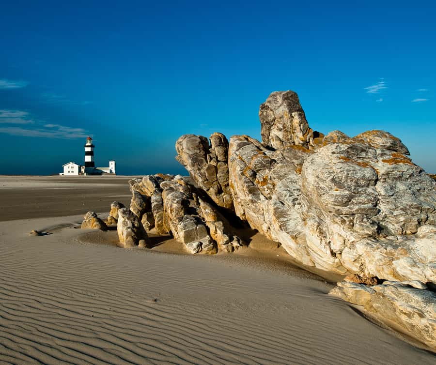 Port Elizabeth: 4x4 Wildlife Safari & City Sightseeing Tour - What you get for the money, and why it feels fair