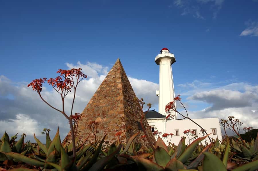 Port Elizabeth: 4x4 Wildlife Safari & City Sightseeing Tour - Wezandla craft market and Donkin Reserve: start local, then zoom out