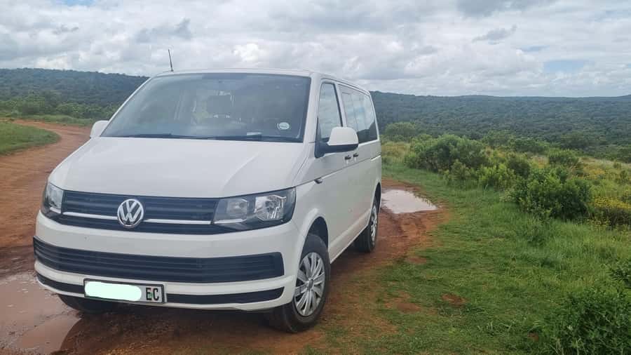 Port Elizabeth: Addo Park Safari with Giraffe Walk and Lunch - Should you book this Addo safari with giraffe walk?