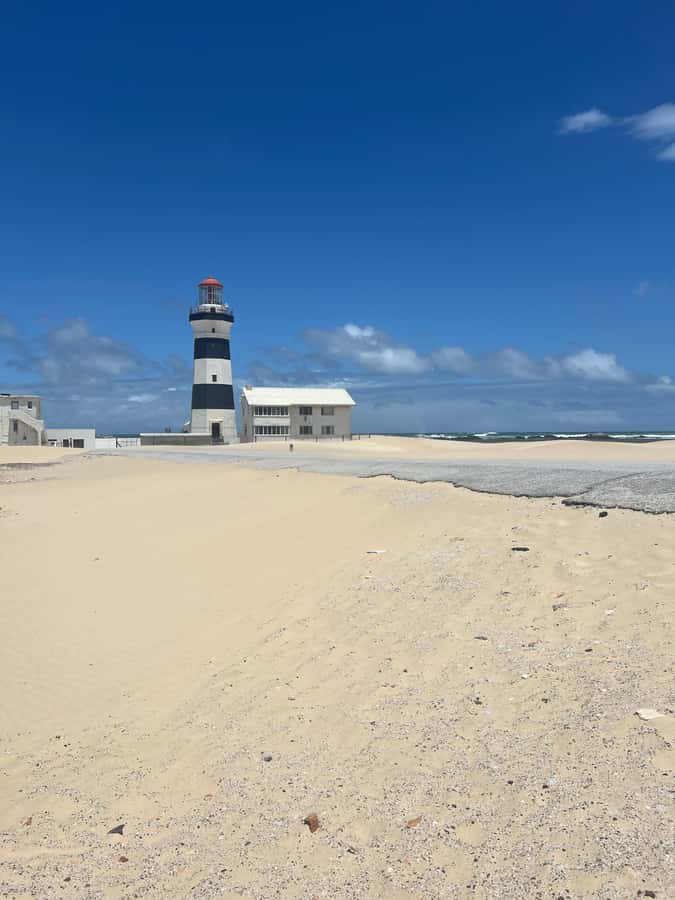 Port Elizabeth: City and Coastal Tour - Port Elizabeth and Gqeberha in Half a Day: How the Tour Actually Feels