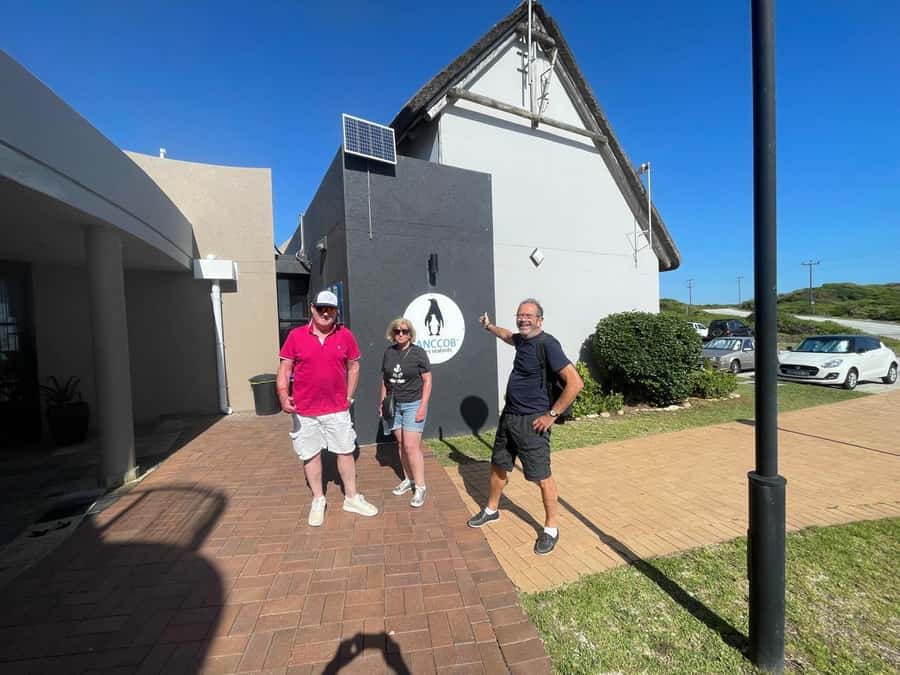 Port Elizabeth: City and Coastal Tour - Pickup in Gqeberha and the Drive That Sets the Scene