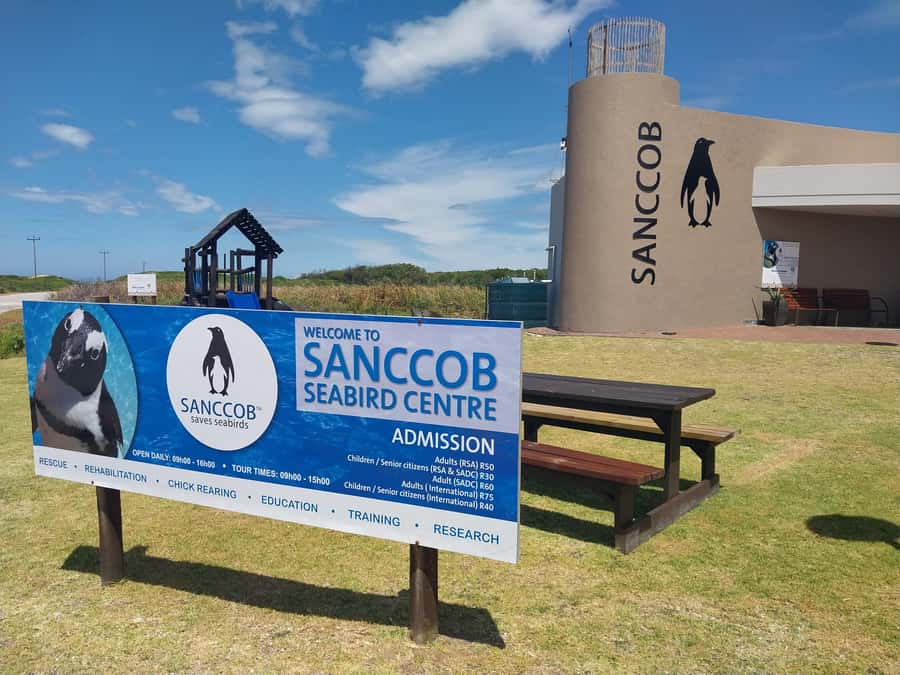 PORT ELIZABETH CITY TOUR - Fort Frederick and Donkin Reserve: Easy Strolls, Big Photo Moments