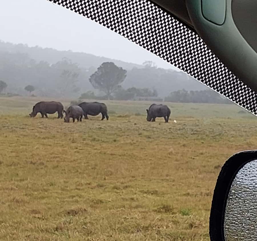 Port Elizabeth:Kragga Kamma Private game reserve safari - Key things I’d pay attention to