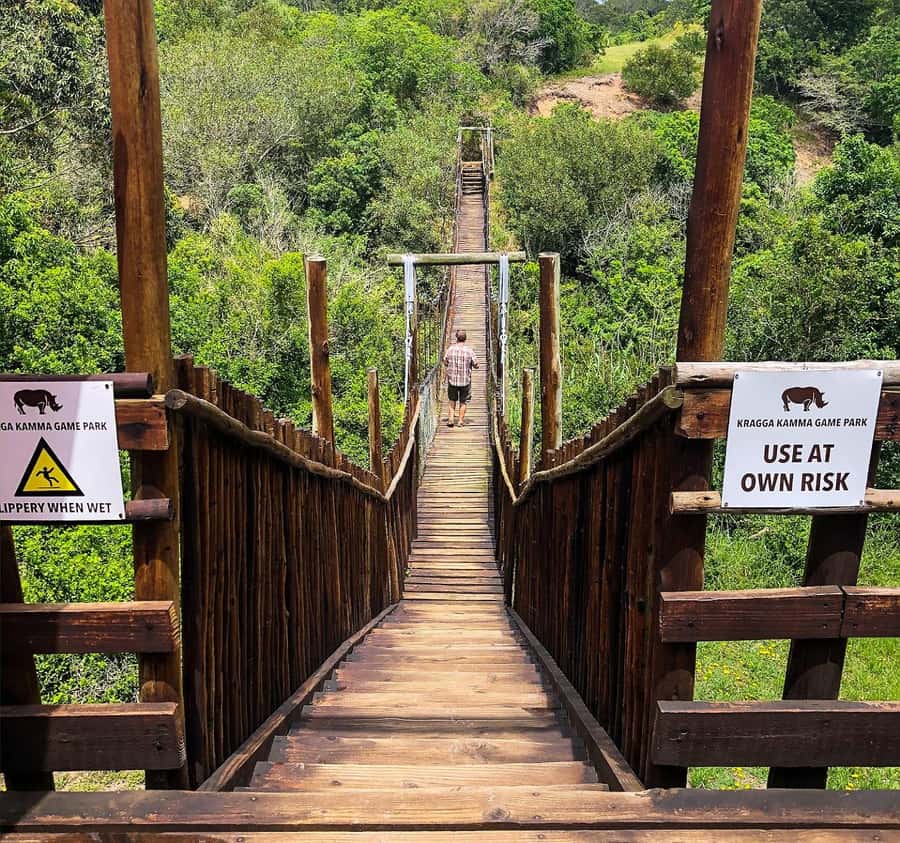 Port Elizabeth:Kragga Kamma Private game reserve safari - A 3-hour safari day from Port Elizabeth