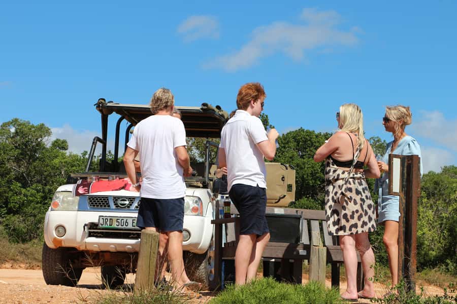 Port Elizabeth: Schotia Private Game Reserve Safari - Schotia on the Addo Border: Why This Safari Feels Like More Than a Checklist