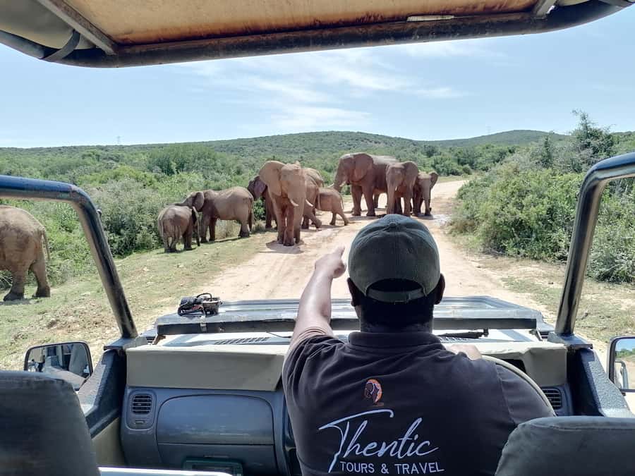 Port Elizabeth: Schotia Private Game Reserve Safari - Should You Book This Schotia Private Game Reserve Safari?