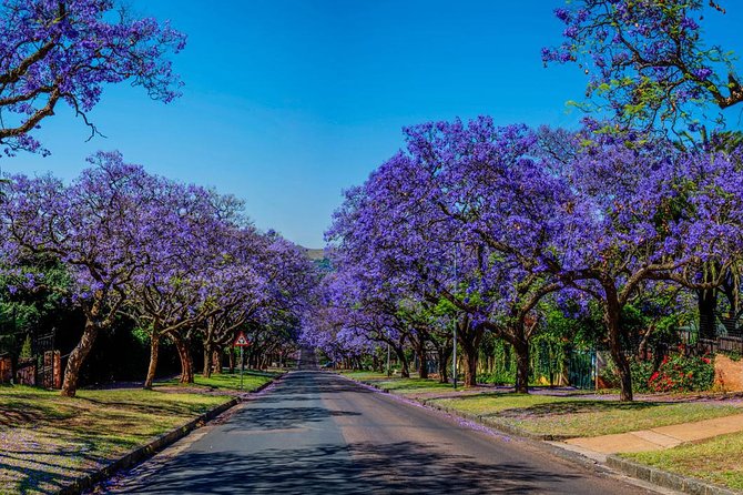 Pretoria City and Diamond Mine Tour - Guide Power: When Pretoria Makes Sense, Thanks to Ali and Khutso