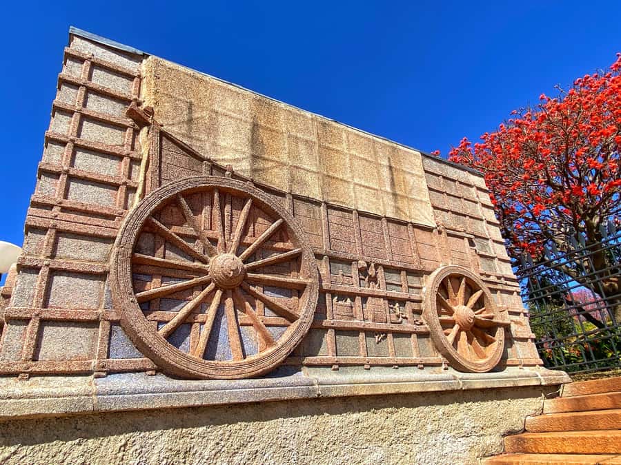 Pretoria: Pretoria City and Lion Park Tour - What the guides get right, and why names keep coming up in reviews