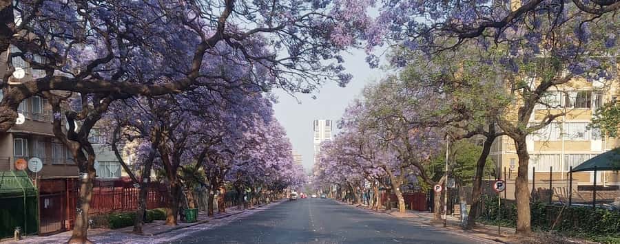 Pretoria: Pretoria City Tour and Cullinan Diamond Mine Tour - The Lunch Gap and the 40-Minute Drive to Cullinan