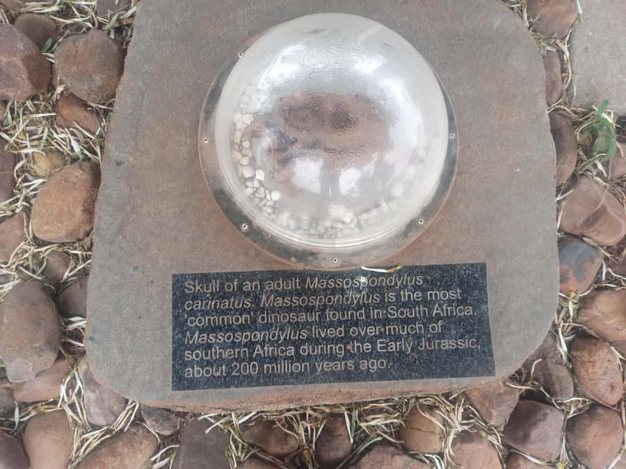 Pretoria/Sandton: Cradle of Humankind & Sterkfontein Caves - Best-Fit Travelers: Who This Day Trip Serves Well
