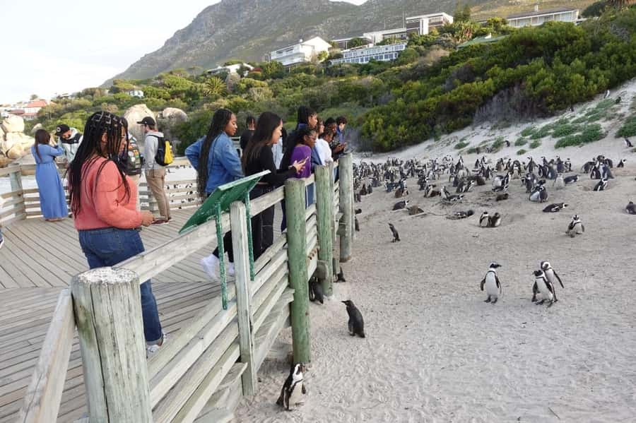 Private Cape of Good Hope and Penguins Full-Day Tour - Bo-Kaap: Colorful Streets and a Quick Cultural Primer