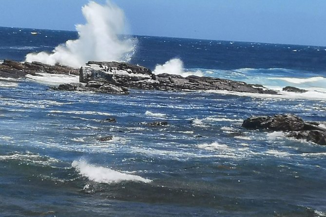 Private Cape of Good Hope and Penguins tour from Stellenbosch. - Cape Point Nature Reserve: Wildlife Spotting Plus Famous Cape Stories
