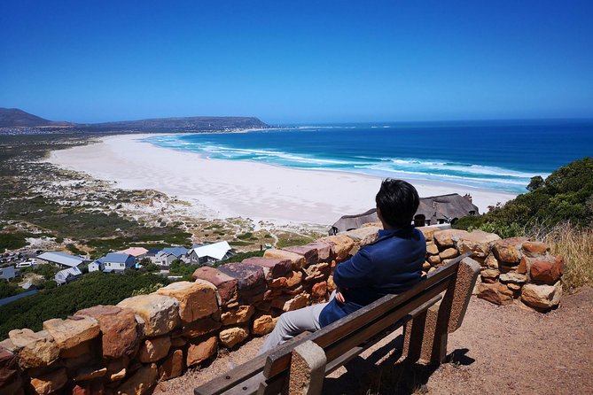 Private Cape of Good Hope and Penguins tour from Stellenbosch. - Kirstenbosch Botanical Garden: A Calm Reset in the Middle of the Day