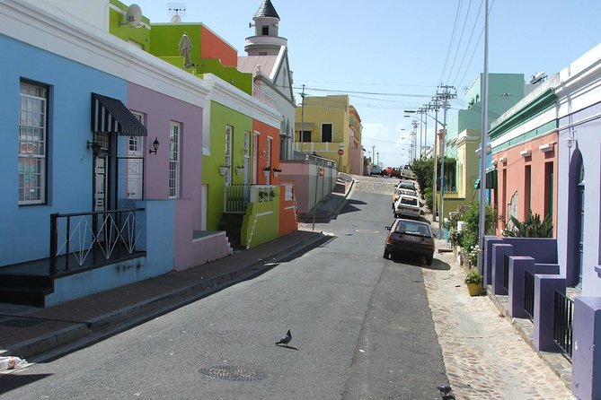 Private Cape of Good Hope and Penguins tour from Stellenbosch. - Private Driving, Real Comfort, and a Guide Who Keeps It Smooth