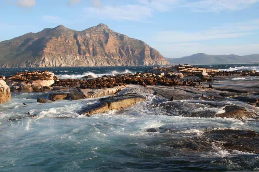 Private Cape of Good Hope Guided Tour - Maiden’s Cove and the millionaires-paradise tidal pool moment