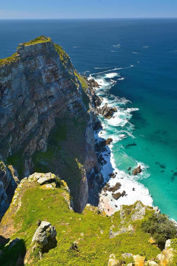 Private Cape of Good Hope Guided Tour - Boulders Beach and the penguins you can’t help watching