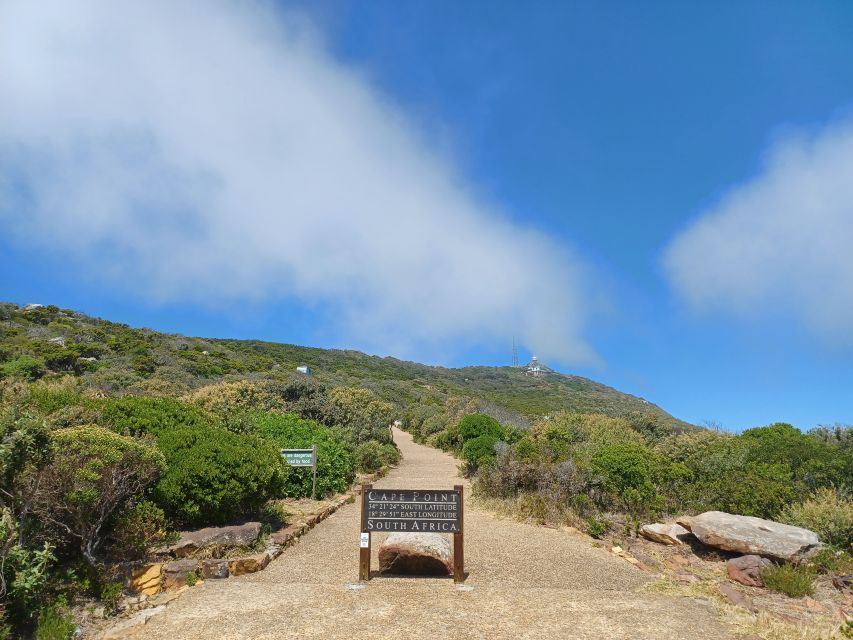 Private Cape of Good Hope Guided Tour - Simon’s Town lunch time, where the schedule gives you breathing room