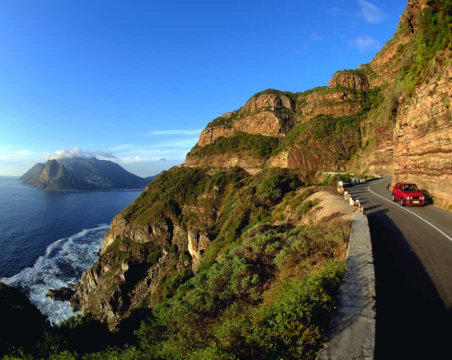 Private Cape Peninsula Half-Day Tour with Penguins - Why This Private Cape Peninsula Tour Works in Four Hours