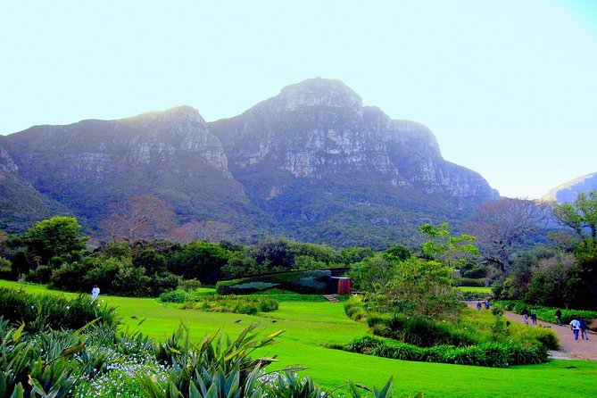 Private Cape Peninsula + Kirstenbosch Garden Full Day Guided Tour - Cape Point Nature Reserve: lighthouse views and shipwreck stories