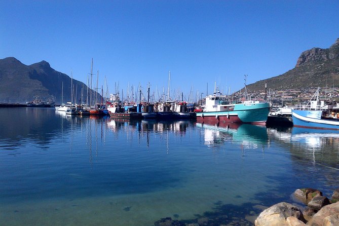 Private Cape Peninsula + Kirstenbosch Garden Full Day Guided Tour - Kirstenbosch Gardens: Table Mountain in the background